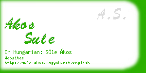 akos sule business card